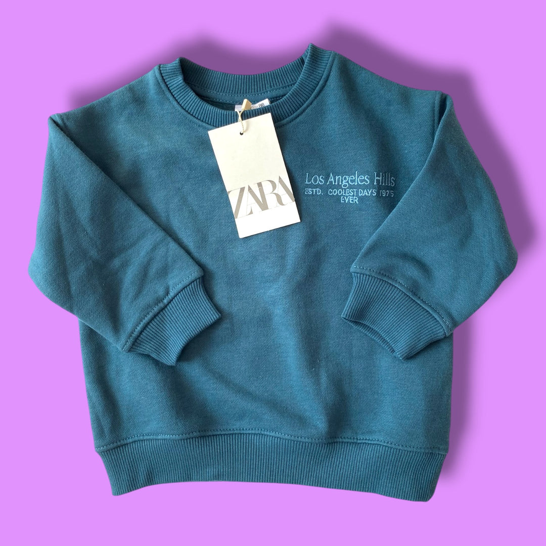 Blue Zara NWT sweater, 18m