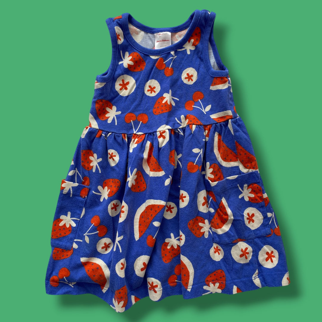 blue hanna fruit dress, 4Y