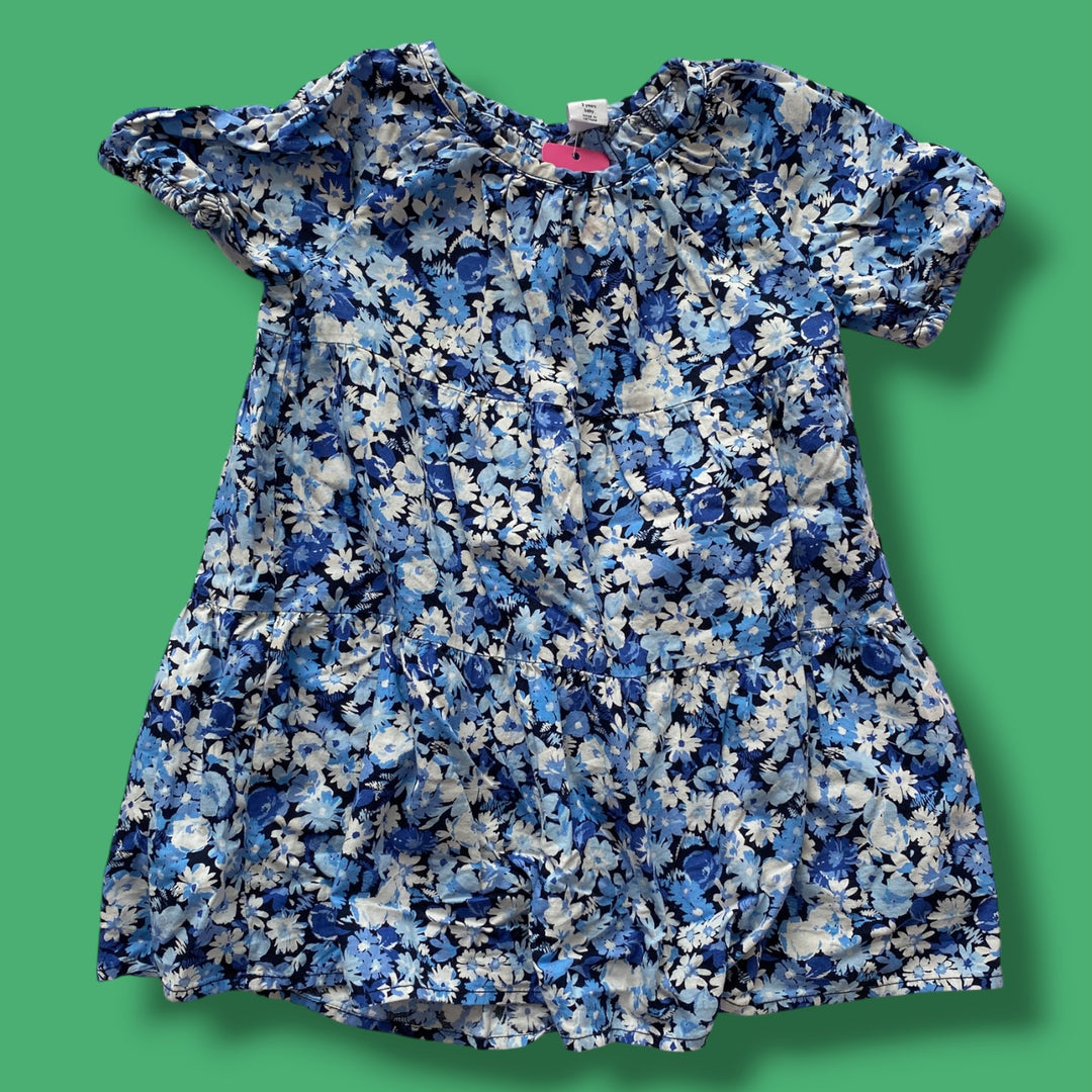 blue Gap as is-mark floral dress, 3Y