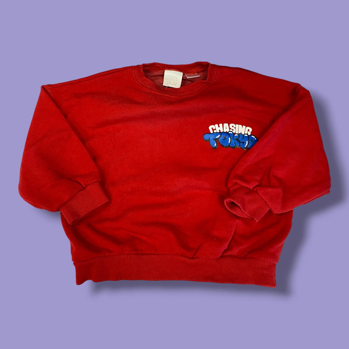 Red Zara Sweater, 18m