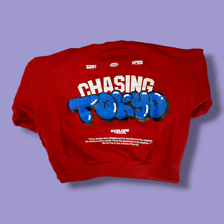 Red Zara Sweater, 18m