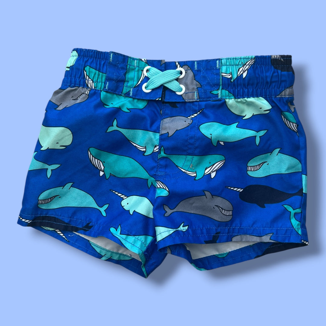 Blue Cat &amp; Jack whale swim trunks, 6-9m